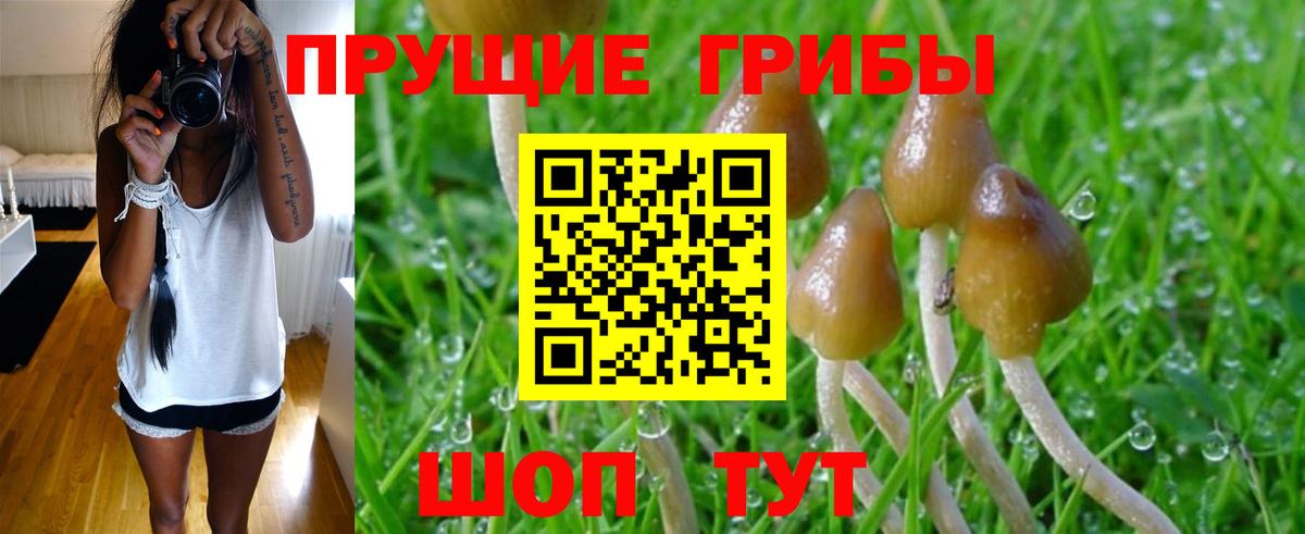 Псилоцибиновые грибы мухоморы  Галлюциногенные грибы Psilocybe  Вход с VPN  Чернушка 